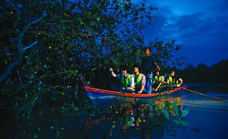 Passengers in a rowed sampan beside mangroves after dark, with fireflies in the branches